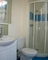 Miniature 5