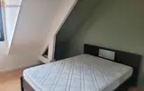 Miniature 0