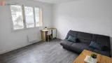 Miniature 3