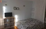 Miniature 25