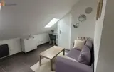 Miniature 8