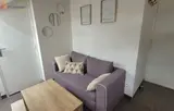 Miniature 4