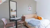 Miniature 17