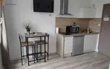 Miniature 3