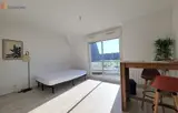 Miniature 0