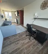 Miniature 25