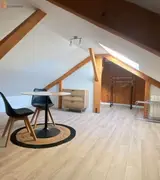 Miniature 4