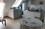 Miniature 0