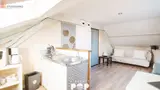 Miniature 3