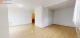 Miniature 11