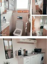 Miniature 2