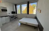 Miniature 17