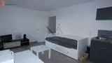 Miniature 25