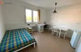 Miniature 10