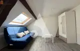 Miniature 3