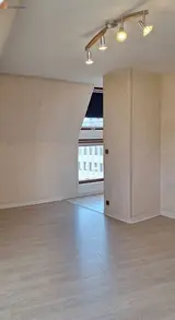 Miniature 21