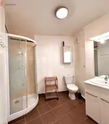 Miniature 5