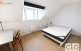 Miniature 19