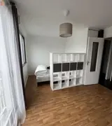 Miniature 17