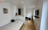 Miniature 10