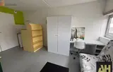 Miniature 4