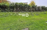 Miniature 6