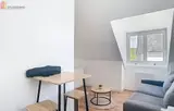 Miniature 13