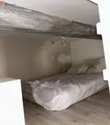 Miniature 7
