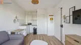 Miniature 3