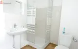 Miniature 7