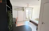 Miniature 4