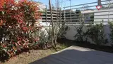 Miniature 5
