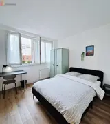 Miniature 3