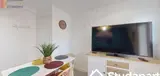 Miniature 4