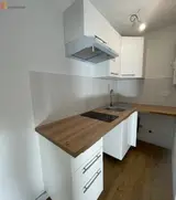 Miniature 3