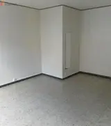 Miniature 7