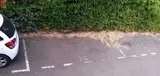 Miniature 9