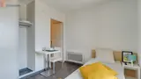 Miniature 16