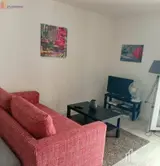 Miniature 4