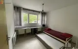 Miniature 5
