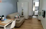 Miniature 7