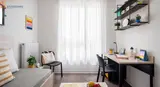 Miniature 17