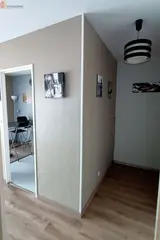 Miniature 4