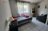 Miniature 4