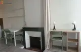 Miniature 21