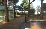 Miniature 4
