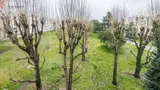 Miniature 6