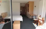 Miniature 4