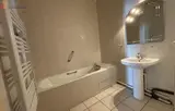 Miniature 4