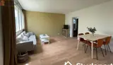 Miniature 0
